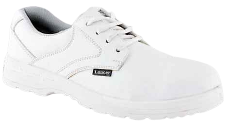 Washable Safety Shoe for Pharma Industry